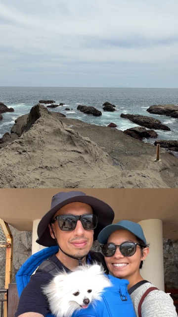 Split Screen, rocky Pacific coast above, couple with Pomeranian below.
