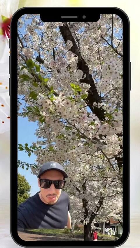 SplitRig demo — Sakura vlog · made in SplitRig.